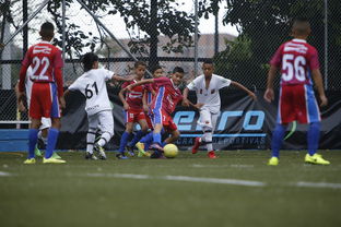 开云官网-中国足球协会召开年度总结大会,中国足球协会会长是谁