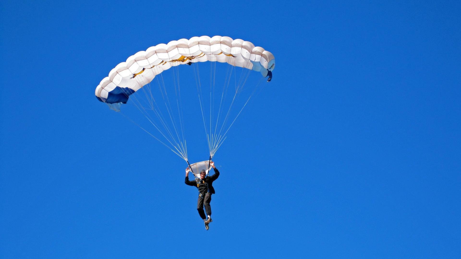 南非橄榄球进入新纪元：从青训到国际舞台的全方位布局，南非橄榄球图片