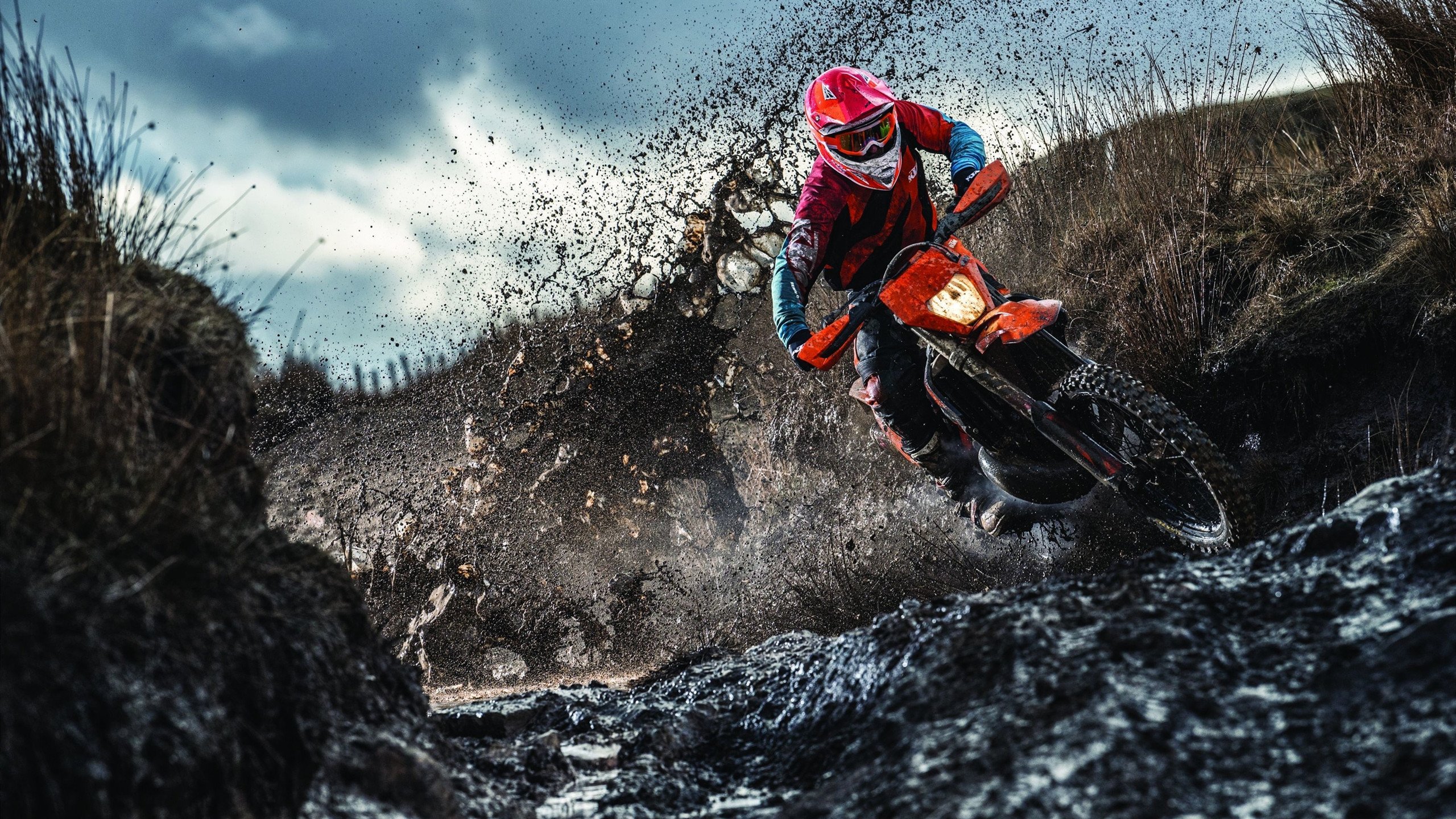 美国队稳定发挥赢得观众热烈掌声，美国队稳定发挥赢得观众热烈掌声的原因